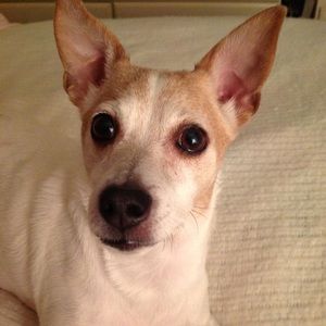 Meet your Posher, Carol